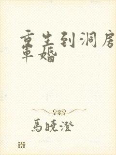 重生到洞房夜的军婚