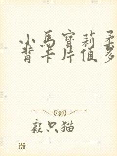 小马宝莉柔柔黑背卡片值多少钱