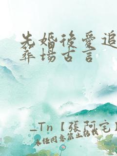 先婚后爱追妻火葬场古言