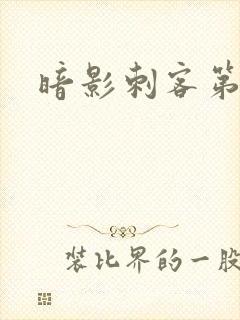 暗影刺客第五季