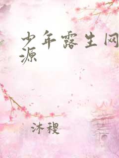 少年露生网盘资源
