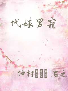 代嫁男宠
