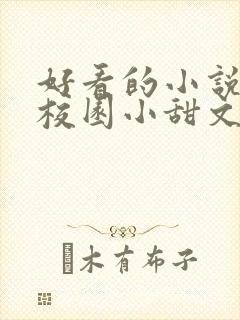 好看的小说言情校园小甜文