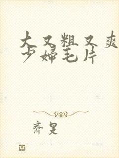 大又粗又爽又黄少妇毛片