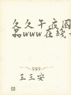 久久午夜国产精品www在线看