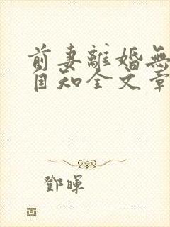 前妻离婚无效徐自知全文章节免费阅读