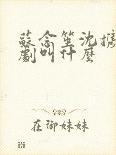 苏念笙沈携西短剧叫什么