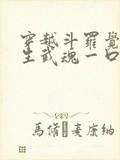 穿越斗罗觉醒十生武魂一口气看完