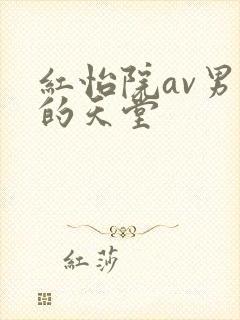 红怡院av男人的天堂