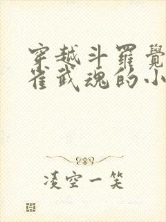 穿越斗罗觉醒朱雀武魂的小说