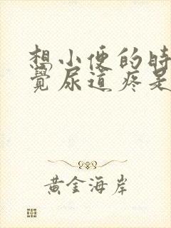 想小便的时候感觉尿道疼是怎么回事