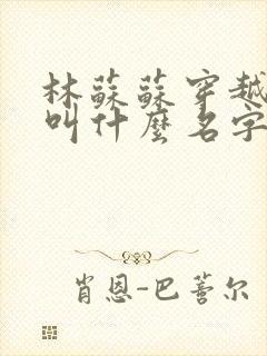 林苏苏穿越小说叫什么名字