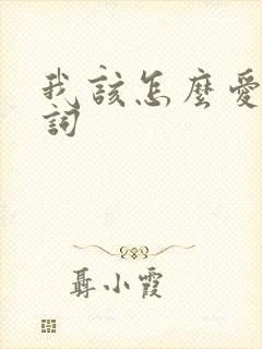 我该怎么爱你歌词