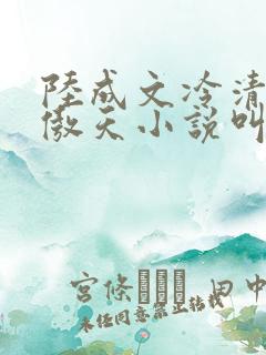 陆成文冷清秋龙傲天小说叫什么名字