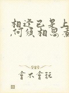 相逢已是上上签,何须相思煮余年下句