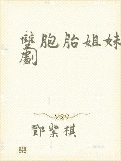 双胞胎姐妹的韩剧