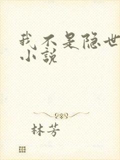我不是隐世高人小说