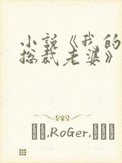 小说《我的冰山总裁老婆》