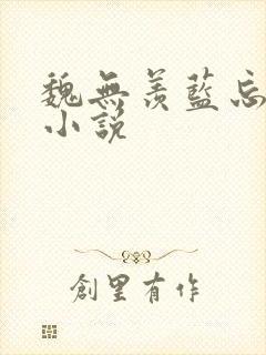 魏无羡蓝忘机的小说