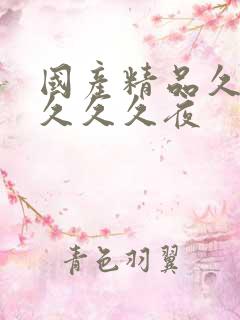 国产精品久久久久久久夜