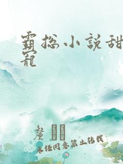 霸总小说甜文高宠