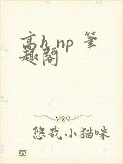 高h np 笔趣阁
