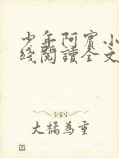 少年阿宾小说在线阅读全文无删减