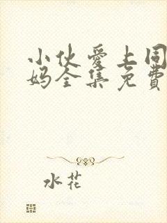 小伙爱上同学妈妈全集免费播放