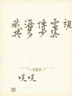 藏海传电视剧一共多少集