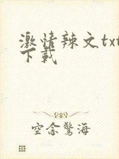 激情辣文txt下载