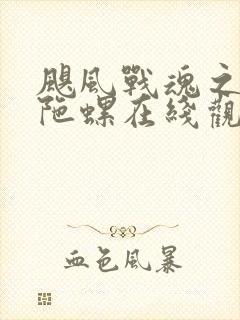 飓风战魂之剑旋陀螺在线观看