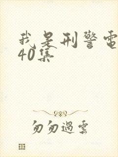 我是刑警电视剧40集