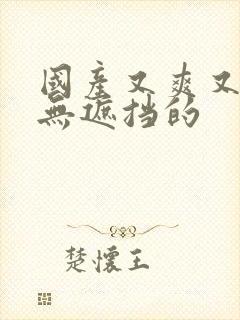 国产又爽又黄又无遮挡的