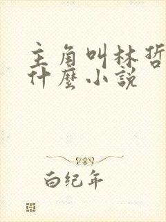 主角叫林哲的是什么小说