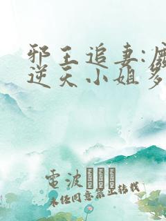 邪王追妻:废材逆天小姐多少字