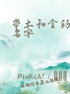 带土和金的男孩名字