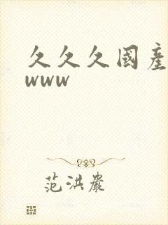 久久久国产精品www