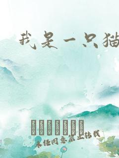 我是一只猫