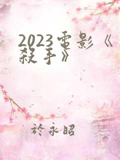 2023电影《杀手》