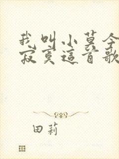 我叫小莫今夜很寂寞这首歌曲