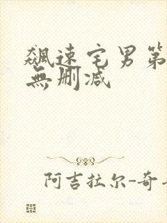 飙速宅男第一季无删减