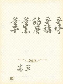 爸爸的哥哥的妻子怎么称呼