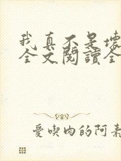 我真不是坏男人全文阅读全文