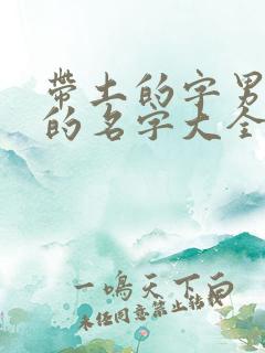 带土的字男孩子的名字大全集