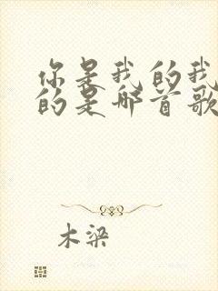 你是我的我是你的是哪首歌的歌词