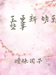 王更新 明朝那些事