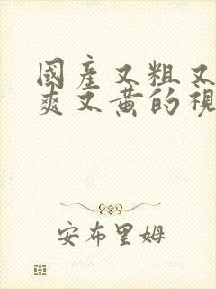 国产又粗又猛又爽又黄的视频66