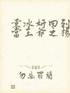 袁冰妍回到明朝当王爷之杨凌传