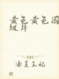 黄色黄色国产一级片