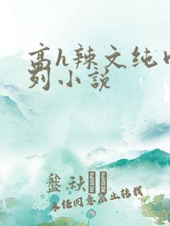 高h辣文纯肉系列小说